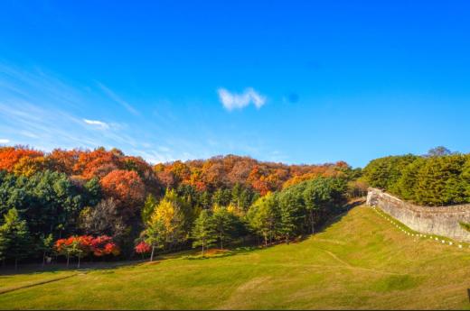 힐링로드투어(토)(상당산성,옥화휴양림)